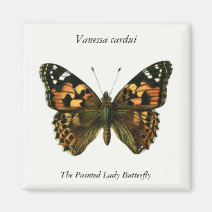 Vanessa cardui - The Painted Lady Butterfly Magnet