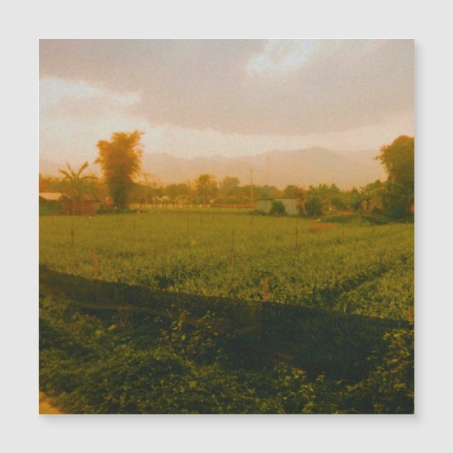 Vang Vieng - Laos  (Front)