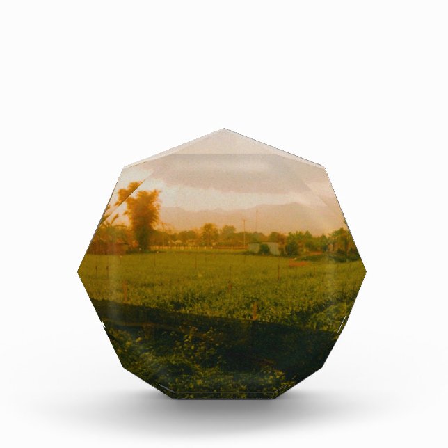 Vang Vieng - Laos  Photo Block (Front)