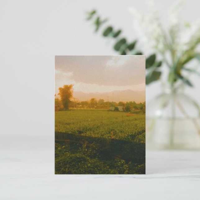 Vang Vieng - Laos  Postcard (Standing Front)