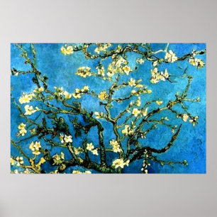 VanGogh Almond Tree BlosSometimes Poster