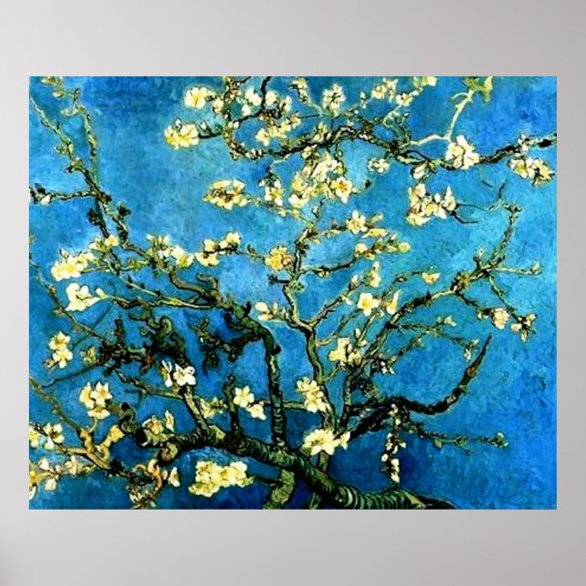 VanGogh Almond Tree BlosSometimes Poster (Front)