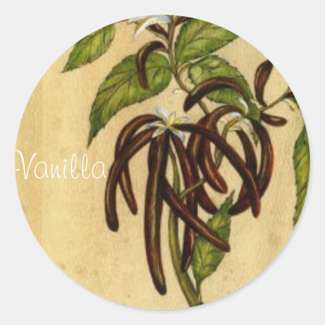 Vanilla Classic Round Sticker (Front)