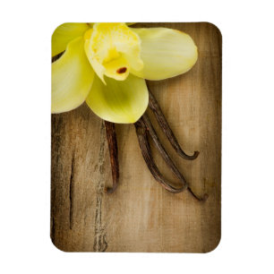 Vanilla Pods and Flower over Wooden Background Magnet