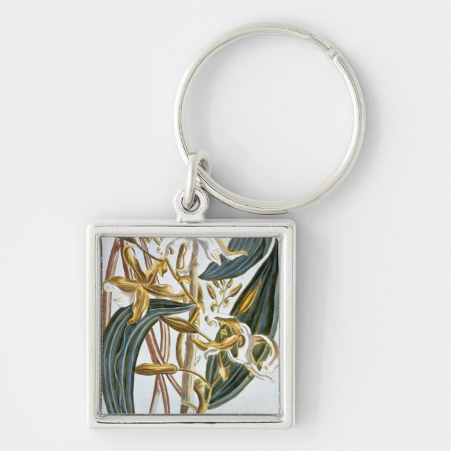 Vanilla pods, plate 65, from 'Collection Precieuse Key Ring (Front)