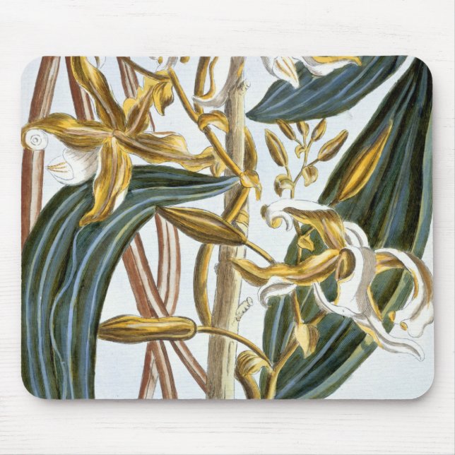 Vanilla pods, plate 65, from 'Collection Precieuse Mouse Mat (Front)