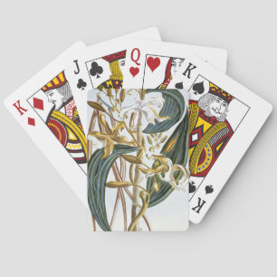 Vanilla pods, plate 65, from 'Collection Precieuse Playing Cards