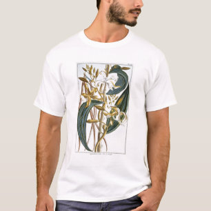 Vanilla pods, plate 65, from 'Collection Precieuse T-Shirt