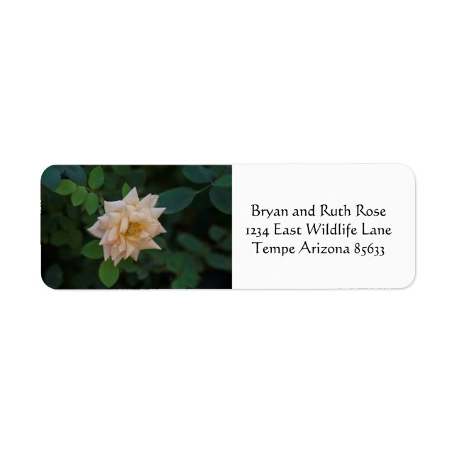 Vanilla rose (Front)