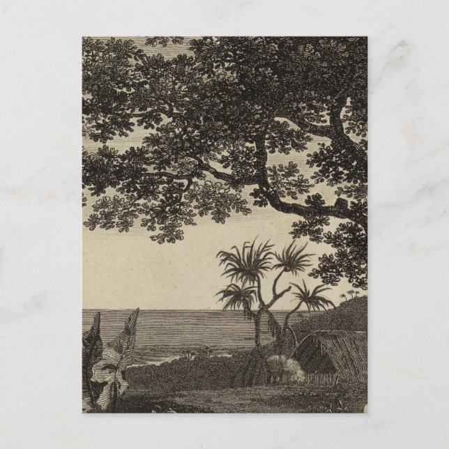 Vanuatu 3 postcard (Front)