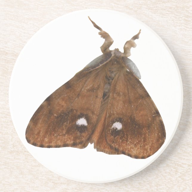 Vapourer Moth Coasters (Front)