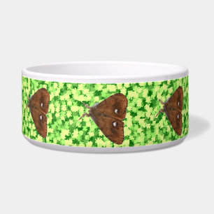 Vapourer Moth Dog Bowl