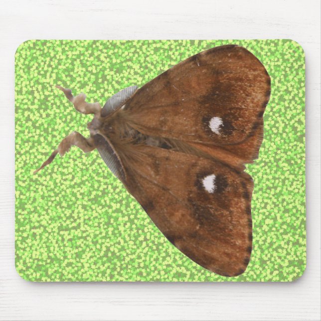 Vapourer Moth Mousepad (Front)