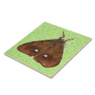Vapourer Moth Tile