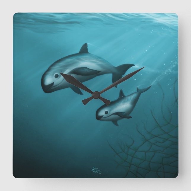 Vaquita Porpoises Square Wall Clock (Front)
