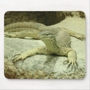 Varanus gouldii mouse mat
