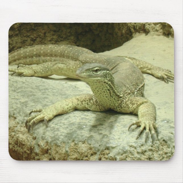 Varanus gouldii mouse mat (Front)