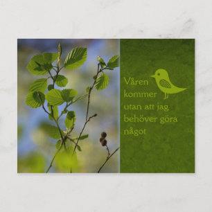 Våren kommer ändå CC0838 Slappna av Postcard