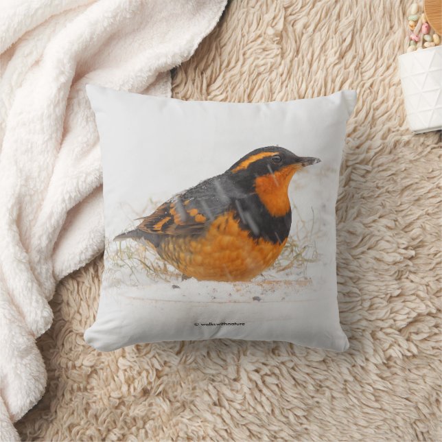 Varied Thrush Songbird on Snowy Winter Day Cushion (Blanket)