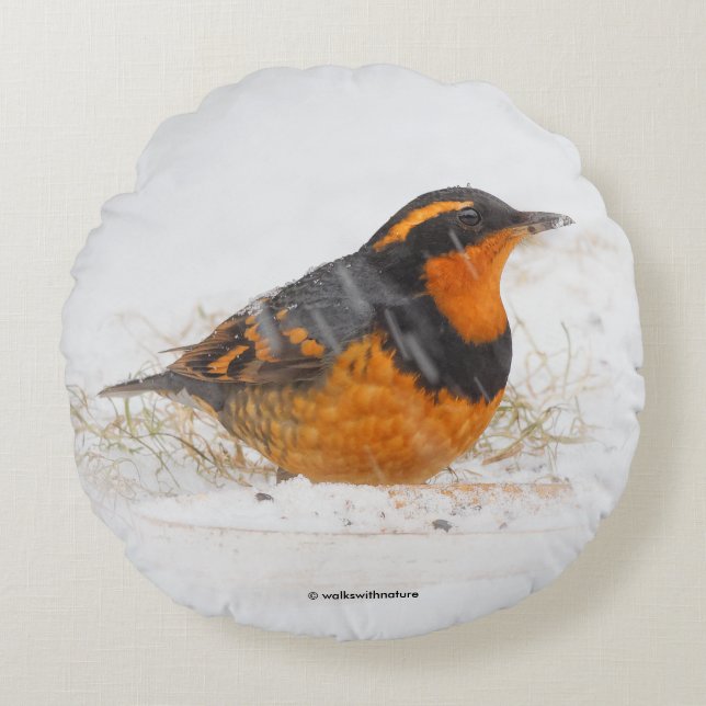 Varied Thrush Songbird on Snowy Winter Day Round Cushion (Front)