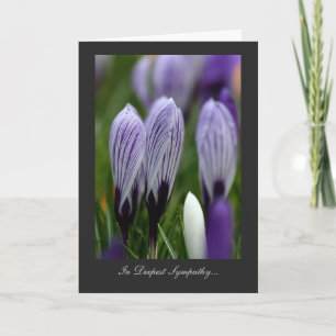 Variegated Crocuses - In Deepest Sympathy Card
