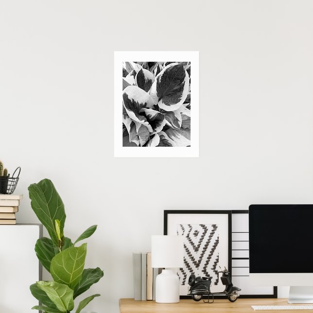 Variegated Hosta Black and White Floral Poster (Home Office)