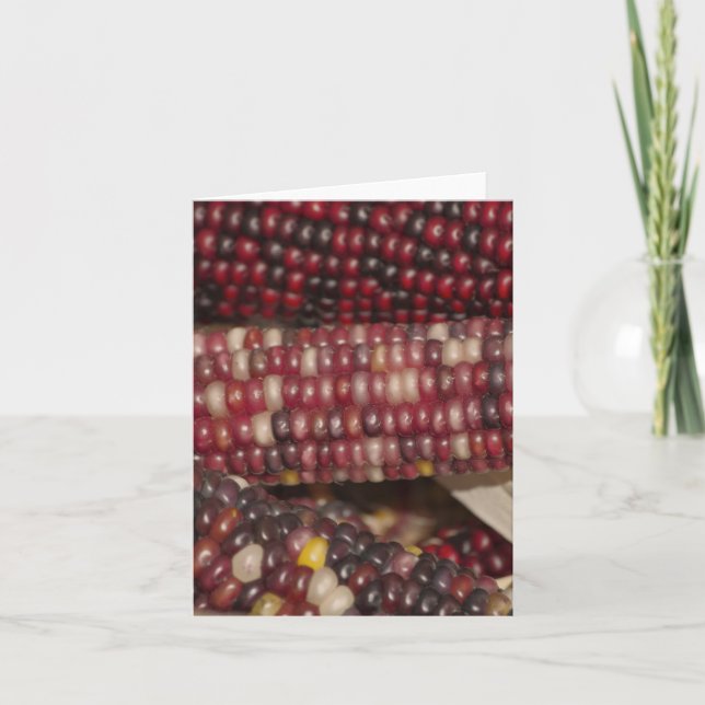 Variegated Maize Holiday Card (Front)