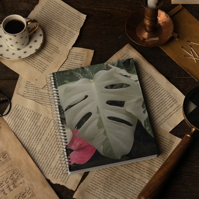 Variegated Monstera Leaf Botanical Notebook (In Situ)