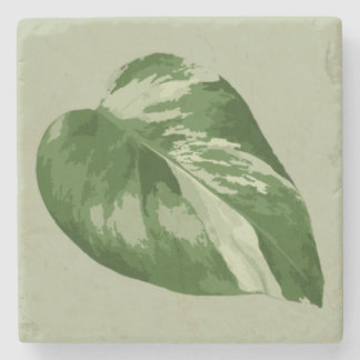 Variegated Monstera Leaf Coaster – Real Plant Art