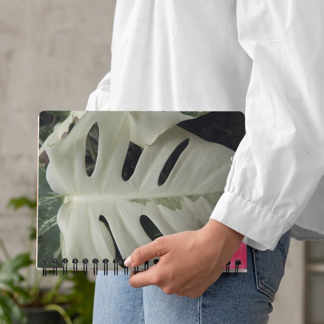 Variegated Monstera Leaf Floral Calendar | Planner (In Situ)
