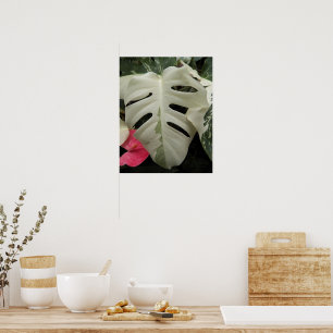 Variegated Monstera Leaf Floral Poster