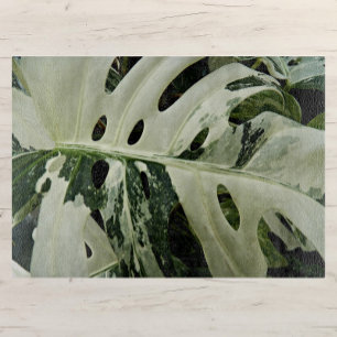 Variegated Monstera Plant Botanical Medium Cutting Board