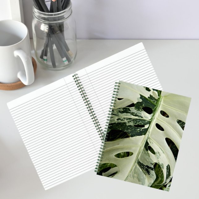 Variegated Monstera Plant Floral Notebook (In Situ)