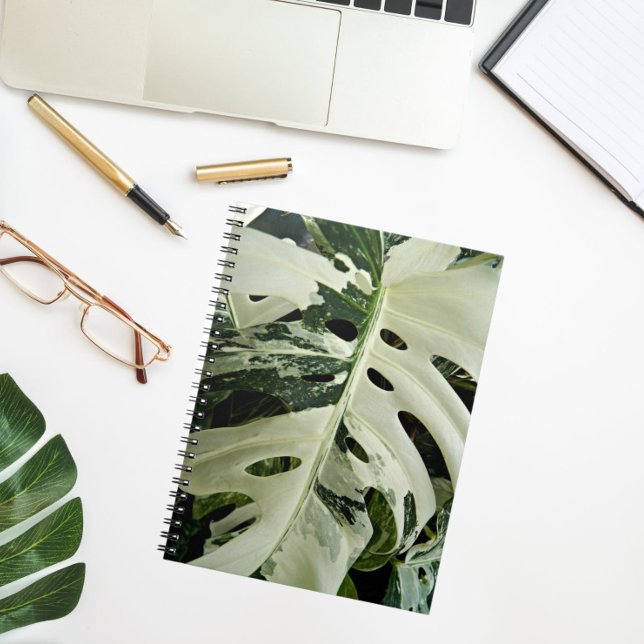 Variegated Monstera Plant Floral Notebook (In Situ)