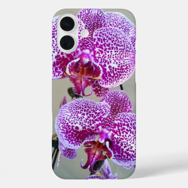 Variegated Purple Orchid Close Up Photograph Case-Mate iPhone Case (Back)