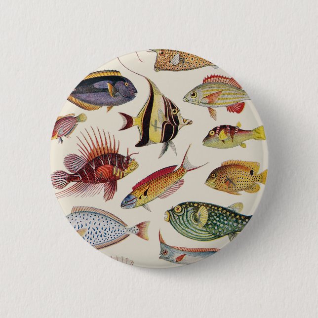 Varieties of Fish 6 Cm Round Badge (Front)