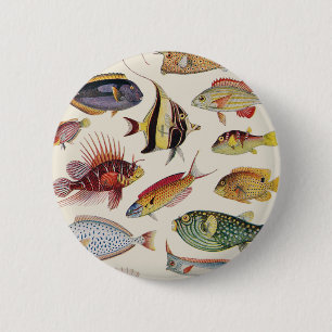 Varieties of Fish 6 Cm Round Badge