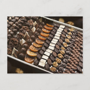Variety of Artisanal Chocolate Pralines Postcard