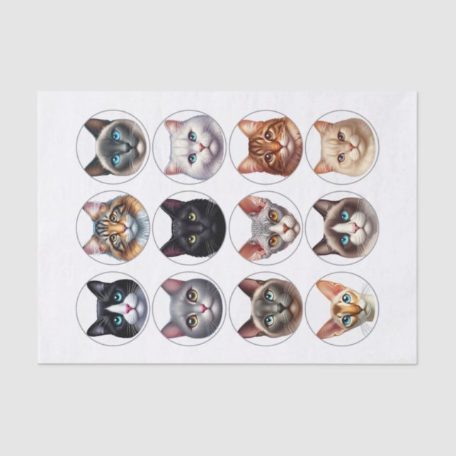 Variety of Cat Breeds with their Faces in a Circle Tissue Paper (Front)