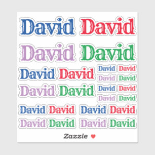 Variety of Sizes of the Name David