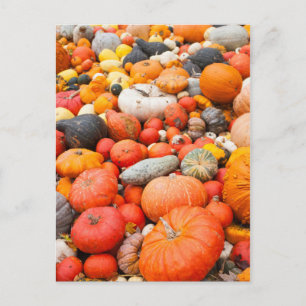 Variety of squash for sale, Germany Postcard