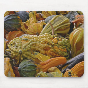 Variety of squash mouse mat