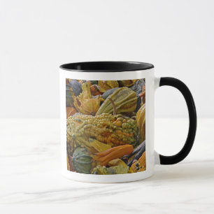 Variety of squash mug
