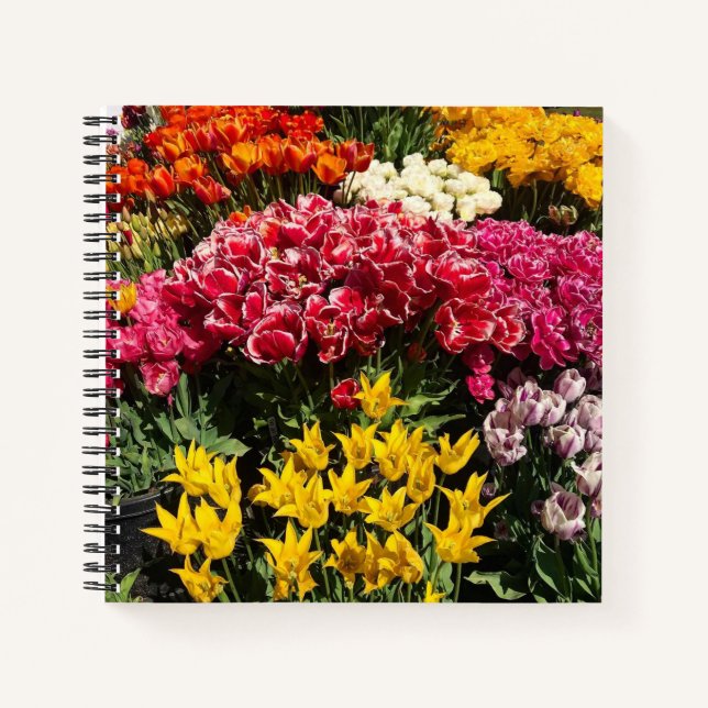 Variety of Tulips Notebook (Front)