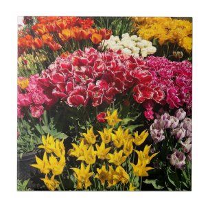 Variety of Tulips Tile