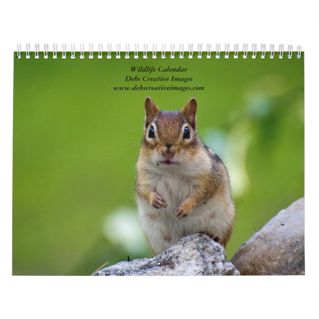 Variety of Wildlife 2026 Calendar (Cover)