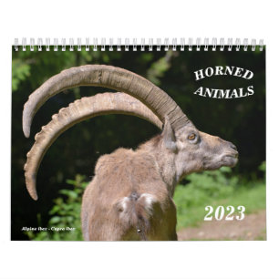 Various animals calendar