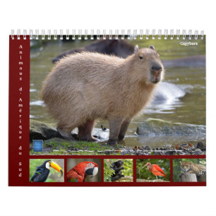 Various animals of South America 12 month Calendar
