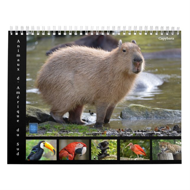 Various animals of South America 12 month Calendar (Cover)