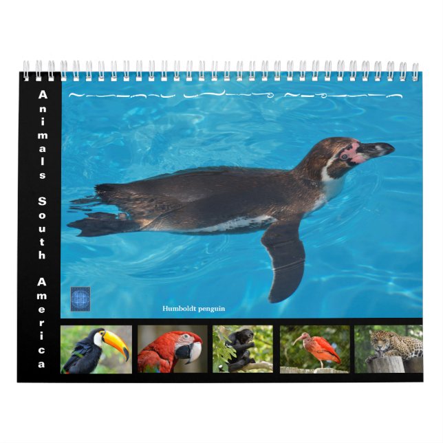 Various animals of South America 12 month Calendar (Cover)